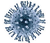 7 шагов по профилактике новой коронавирусной инфекции